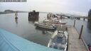 ./images/quadra/hbidock/20250818/hbidock20250818_163511M.jpg