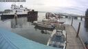 ./images/quadra/hbidock/20250818/hbidock20250818_184000M.jpg