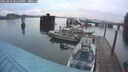 ./images/quadra/hbidock/20250818/hbidock20250818_201009M.jpg