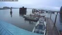./images/quadra/hbidock/20250818/hbidock20250818_203500M.jpg