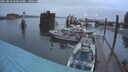 ./images/quadra/hbidock/20250819/hbidock20250819_060010M.jpg