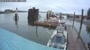 ./images/quadra/hbidock/20250819/hbidock20250819_062513M.jpg