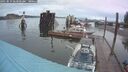./images/quadra/hbidock/20250819/hbidock20250819_063000M.jpg