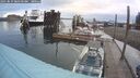 ./images/quadra/hbidock/20250819/hbidock20250819_080500M.jpg