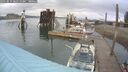 ./images/quadra/hbidock/20250819/hbidock20250819_085510M.jpg