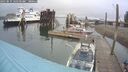 ./images/quadra/hbidock/20250819/hbidock20250819_100500M.jpg