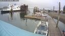 ./images/quadra/hbidock/20250819/hbidock20250819_100508M.jpg