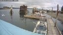 ./images/quadra/hbidock/20250819/hbidock20250819_111500M.jpg