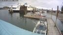 ./images/quadra/hbidock/20250819/hbidock20250819_115000M.jpg