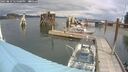 ./images/quadra/hbidock/20250819/hbidock20250819_125000M.jpg