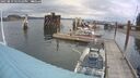 ./images/quadra/hbidock/20250819/hbidock20250819_125510M.jpg