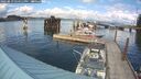./images/quadra/hbidock/20250819/hbidock20250819_154511M.jpg