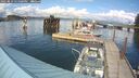 ./images/quadra/hbidock/20250819/hbidock20250819_155000M.jpg