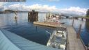 ./images/quadra/hbidock/20250819/hbidock20250819_155011M.jpg