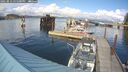 ./images/quadra/hbidock/20250819/hbidock20250819_155500M.jpg