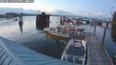 ./images/quadra/hbidock/20250819/hbidock20250819_204509M.jpg