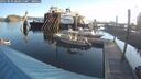 ./images/quadra/hbidock/20250820/hbidock20250820_081011M.jpg