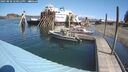./images/quadra/hbidock/20250820/hbidock20250820_120011M.jpg
