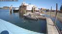 ./images/quadra/hbidock/20250820/hbidock20250820_121010M.jpg