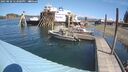 ./images/quadra/hbidock/20250820/hbidock20250820_122000M.jpg