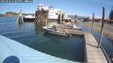 ./images/quadra/hbidock/20250820/hbidock20250820_122009M.jpg
