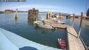 ./images/quadra/hbidock/20250820/hbidock20250820_134010M.jpg