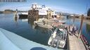 ./images/quadra/hbidock/20250820/hbidock20250820_141011M.jpg