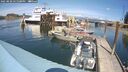 ./images/quadra/hbidock/20250820/hbidock20250820_141500M.jpg