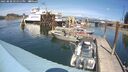 ./images/quadra/hbidock/20250820/hbidock20250820_141511M.jpg