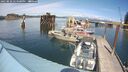./images/quadra/hbidock/20250820/hbidock20250820_144500M.jpg