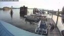 ./images/quadra/hbidock/20250821/hbidock20250821_073011M.jpg