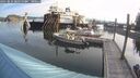 ./images/quadra/hbidock/20250821/hbidock20250821_081511M.jpg