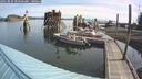 ./images/quadra/hbidock/20250821/hbidock20250821_095000M.jpg