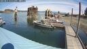 ./images/quadra/hbidock/20250821/hbidock20250821_121511M.jpg