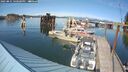 ./images/quadra/hbidock/20250821/hbidock20250821_160000M.jpg