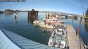 ./images/quadra/hbidock/20250821/hbidock20250821_160509M.jpg