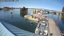 ./images/quadra/hbidock/20250821/hbidock20250821_162012M.jpg