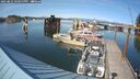 ./images/quadra/hbidock/20250821/hbidock20250821_162514M.jpg