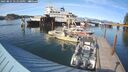 ./images/quadra/hbidock/20250821/hbidock20250821_171011M.jpg