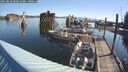 ./images/quadra/hbidock/20250822/hbidock20250822_090012M.jpg
