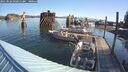 ./images/quadra/hbidock/20250822/hbidock20250822_092011M.jpg