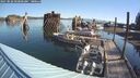 ./images/quadra/hbidock/20250822/hbidock20250822_093000M.jpg