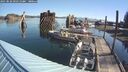 ./images/quadra/hbidock/20250822/hbidock20250822_093509M.jpg