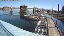 ./images/quadra/hbidock/20250822/hbidock20250822_095000M.jpg