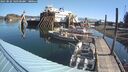 ./images/quadra/hbidock/20250822/hbidock20250822_100500M.jpg