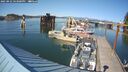 ./images/quadra/hbidock/20250822/hbidock20250822_163000M.jpg
