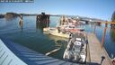 ./images/quadra/hbidock/20250822/hbidock20250822_170000M.jpg