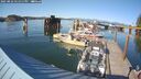 ./images/quadra/hbidock/20250822/hbidock20250822_171511M.jpg