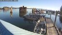 ./images/quadra/hbidock/20250823/hbidock20250823_084500M.jpg