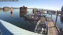 ./images/quadra/hbidock/20250823/hbidock20250823_085011M.jpg